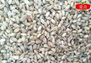 Highland barley rice